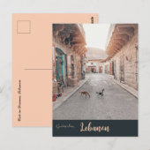 Katten in Douma Libanon Briefkaart (Voorkant / Achterkant)