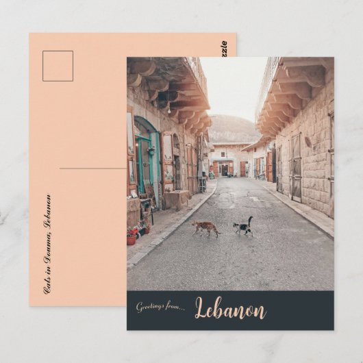 Katten in Douma Libanon Briefkaart (Voorkant / Achterkant)