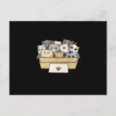 Katten in een doosje kat op dag aankondigingskaart (Voorkant)