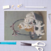 Katten in een mandje van Sophie Sperlich Tissuepapier (Craft)