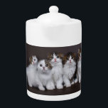 Katten in een Row Porcelain Teapot Theepot<br><div class="desc">Porseleinen theepot met schattige Schotse kittens in een rij.</div>