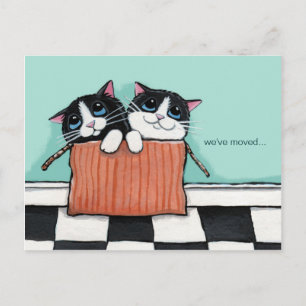 Katten in een verpakkingsdoos   We hebben onze aan Aankondigingskaart