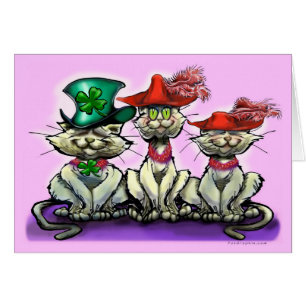 Katten in Funny Petten