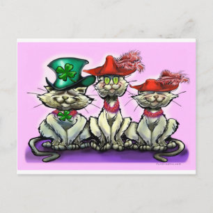 Katten in Funny Petten Briefkaart