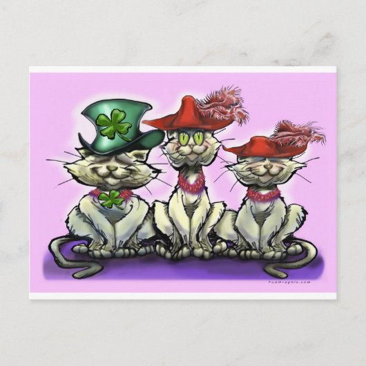 Katten in Funny Petten Briefkaart (Voorkant)