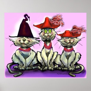 Katten in Funny Petten Poster