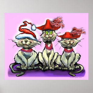 Katten in Funny Petten Poster