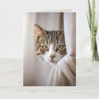 Katten in gordijn verjaardag humor