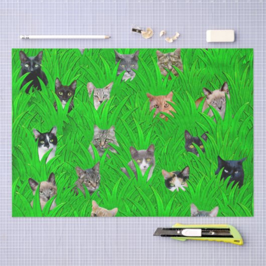 Katten in grammofoonpapier tissuepapier (Craft)