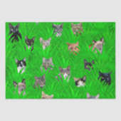 Katten in grammofoonpapier tissuepapier (Voorkant)