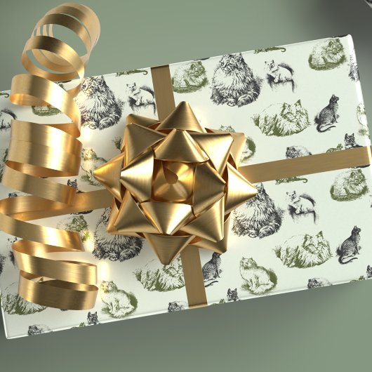 katten in groen en blauw cadeaupapier