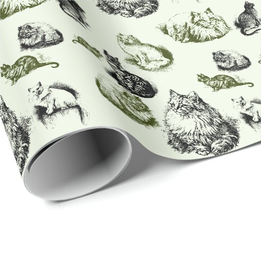  katten in groen en blauw cadeaupapier (Rol Hoek)