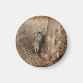 KATTEN IN HET BOS MAGNEET (Voorkant)