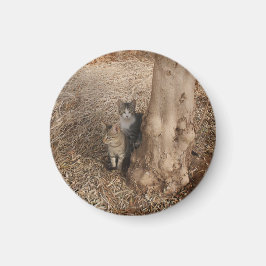 KATTEN IN HET BOS MAGNEET