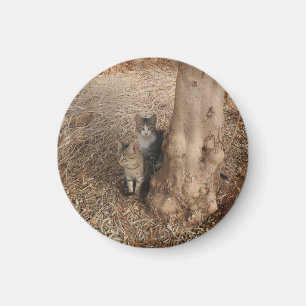KATTEN IN HET BOS MAGNEET