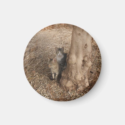 KATTEN IN HET BOS MAGNEET (Voorkant)