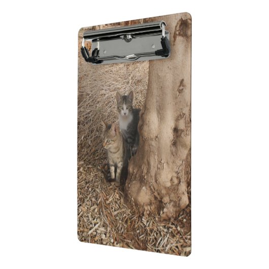 KATTEN IN HET BOS MINI KLEMBORD (Angled2)