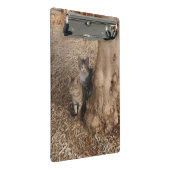 KATTEN IN HET BOS MINI KLEMBORD (Schuin)