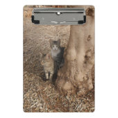 KATTEN IN HET BOS MINI KLEMBORD (Voorkant)