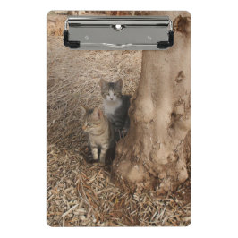 KATTEN IN HET BOS MINI KLEMBORD
