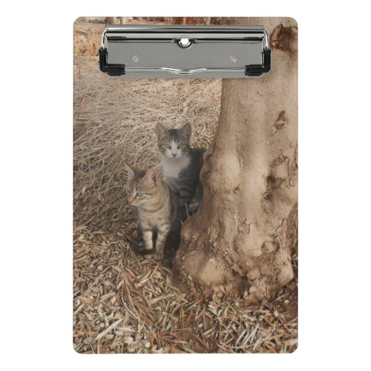 KATTEN IN HET BOS MINI KLEMBORD (Voorkant)