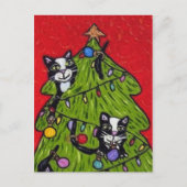 Katten in het Briefkaart van de kerstboom (Voorkant)