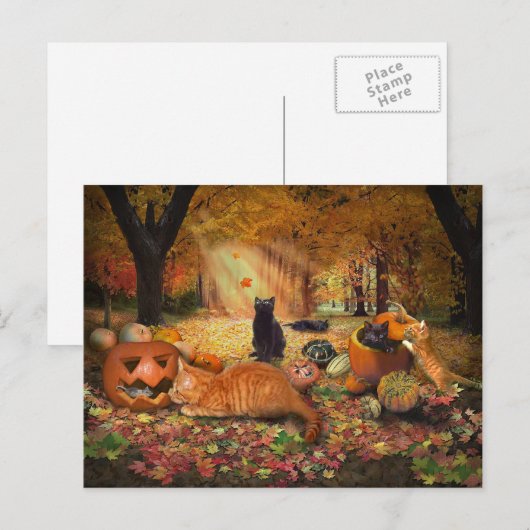 Katten in het najaar briefkaart (Voorkant / Achterkant)