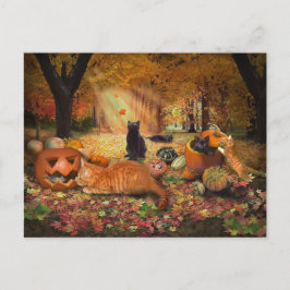 Katten in het najaar briefkaart
