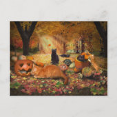 Katten in het najaar briefkaart (Voorkant)