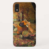 Katten in het najaar 😸  Case-Mate iPhone case (Achterkant)