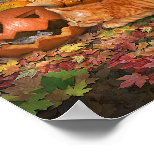 Katten in het najaar poster (Hoek)