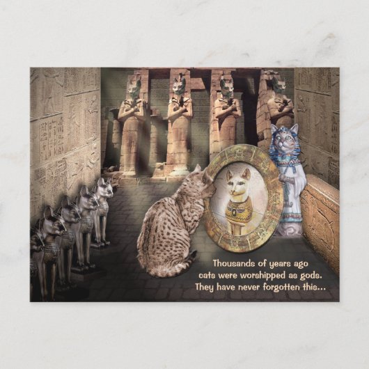 Katten in het oude Egypte Briefkaart (Voorkant)