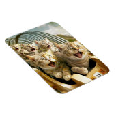 Katten in het pretpark. magneet (Rechterzijde)