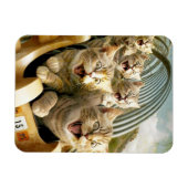 Katten in het pretpark. magneet (Horizontaal)