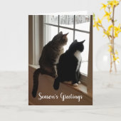 Katten in het venster kaart (Gele Bloem)