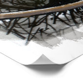 Katten in honden poster (Hoek)