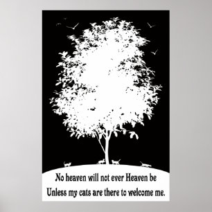 KATTEN IN HOOFD - ZWARTE EN WITTE POSTER