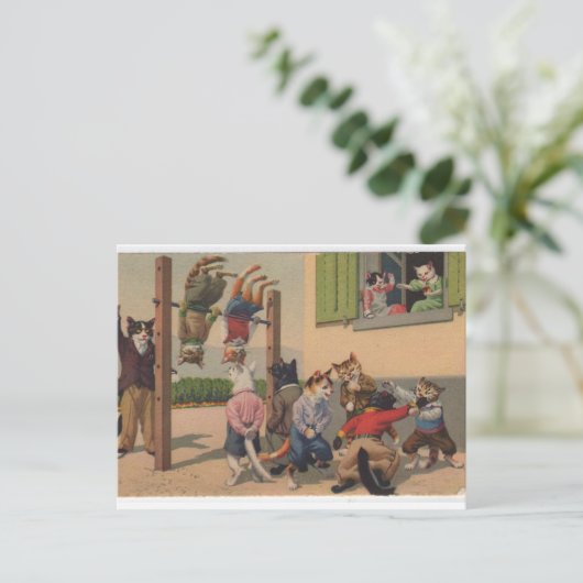 Katten in Kostuum, Gym Class Brawl, Briefkaart (Staand voorkant)