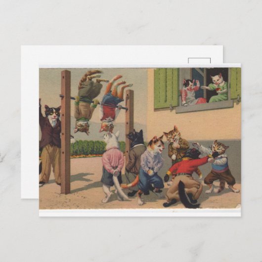 Katten in Kostuum, Gym Class Brawl, Briefkaart (Voorkant / Achterkant)