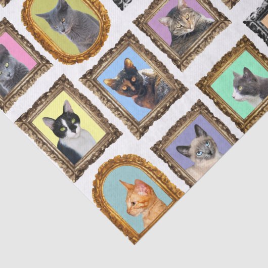 Katten in Lijsten Weefselpapier Tissuepapier (Detail)