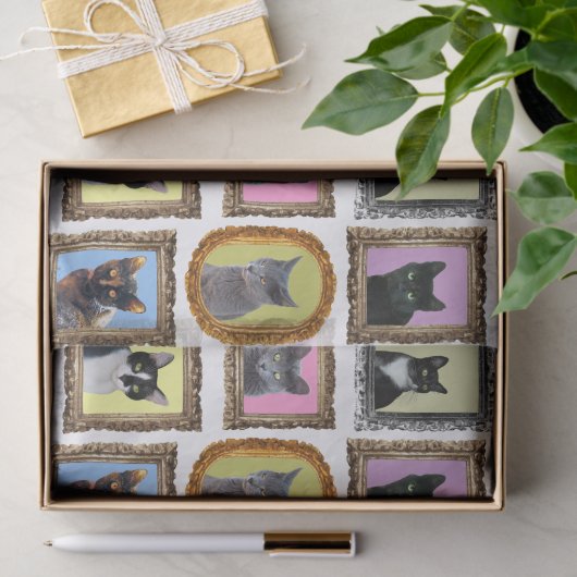Katten in Lijsten Weefselpapier Tissuepapier (Geschenk)