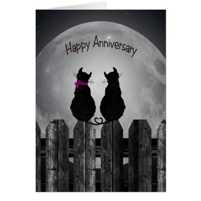 Katten in Moonlight voor echtgenoot (Voorkant)