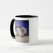 Katten in papieren zak mok (Voorkant links)