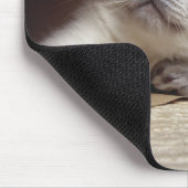 Katten in papieren zak muismat (Hoek)