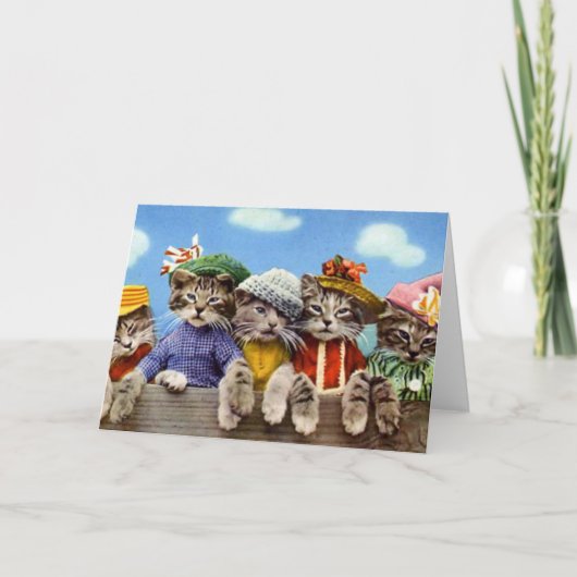 Katten in Pet Kaart (Voorkant)