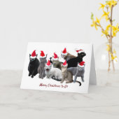 Katten in Santa Hats Kerstmis Kaart (Gele Bloem)