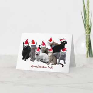 Katten in Santa Hats Kerstmis Kaart