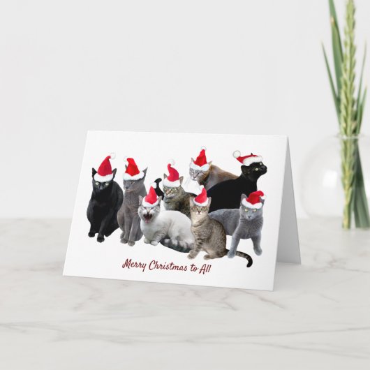 Katten in Santa Hats Kerstmis Kaart (Voorkant)