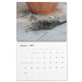 Katten in Spanje Kalender (Feb 2027)