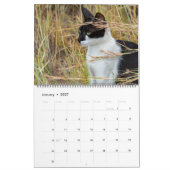 Katten in Spanje Kalender (Jan 2027)